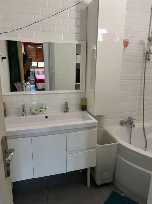 Chambre Double Privee, Appartement Partage Annemasse Eksteriør bilde